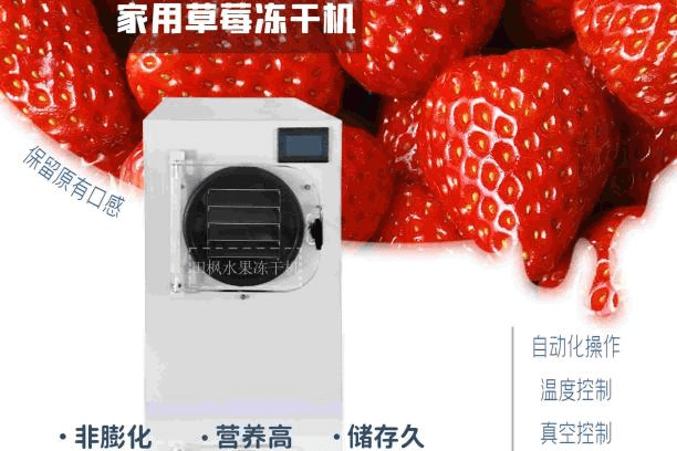 揭秘草莓凍干機(jī)的神奇魔力
