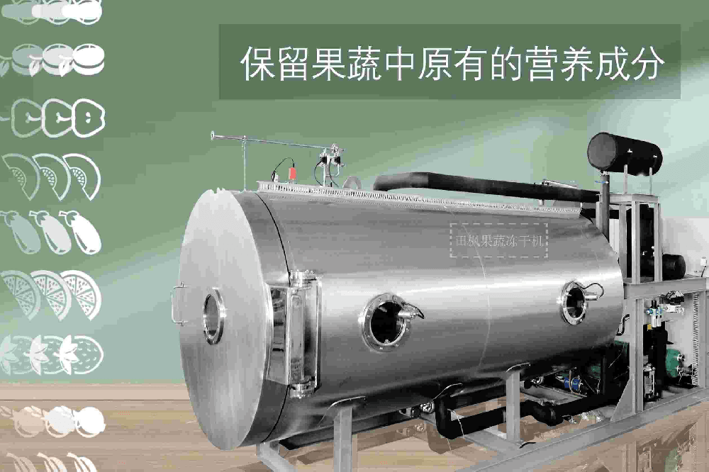 凍干科技助力菠蘿蜜