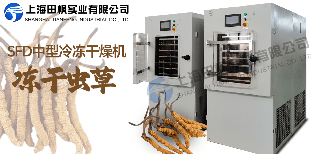 凍干機(jī)在蟲草保鮮中的應(yīng)用