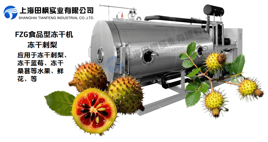 冷凍干燥機(jī)在刺梨保鮮與加工中的新應(yīng)用解決方案