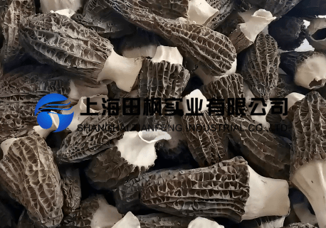 羊肚菌凍干：食用菌凍干技術(shù)原理流程