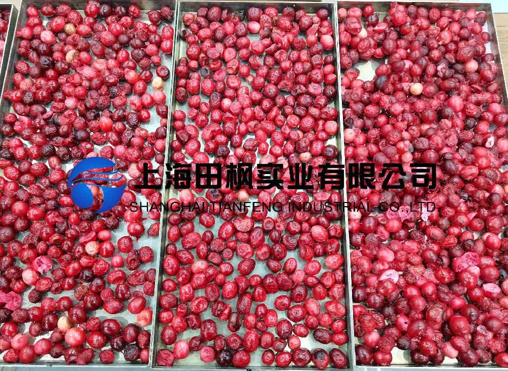 蔓越莓凍干：水果真空冷凍干燥機(jī)應(yīng)用