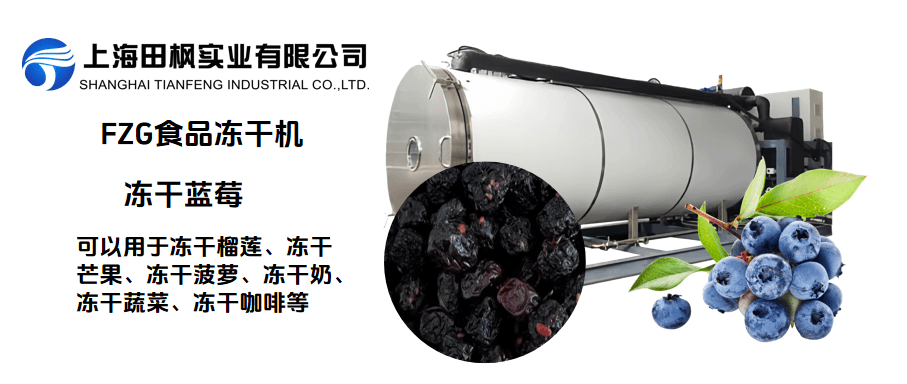 凍干藍莓，豐富的花青素