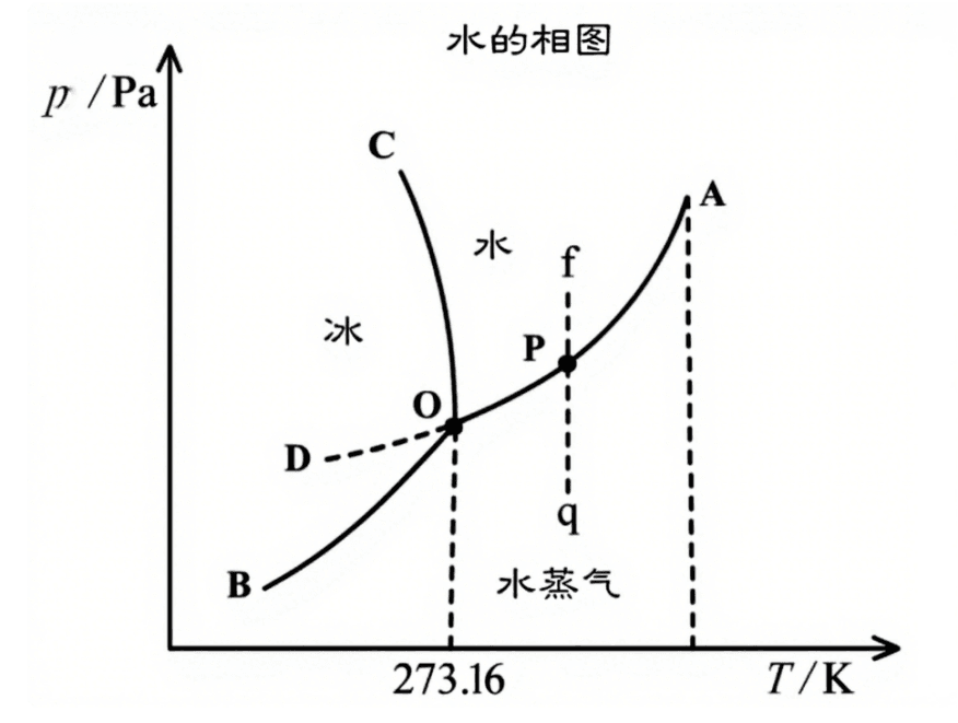 凍干是什么？
