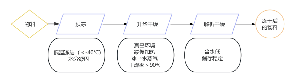 冷凍干燥機(jī)凍干過程