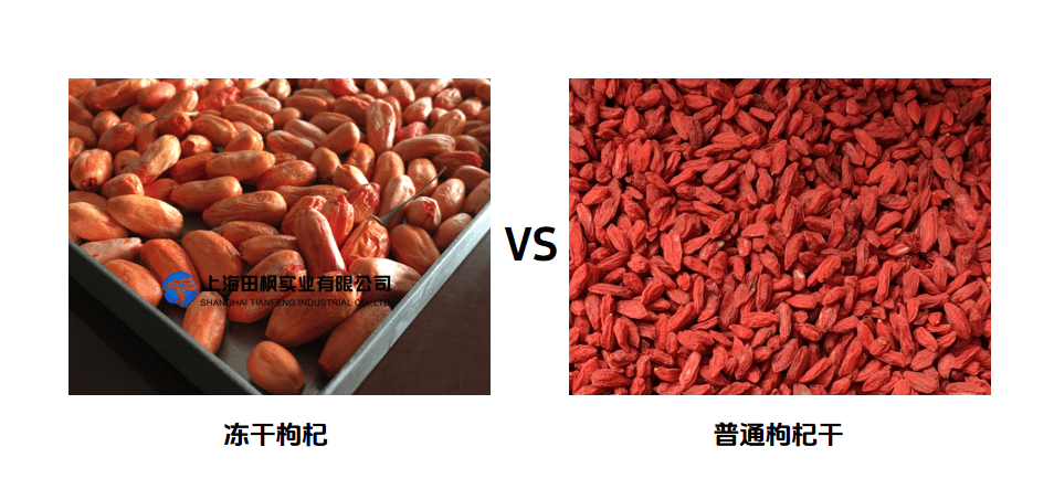 冷凍干燥機凍干枸杞優(yōu)勢介紹