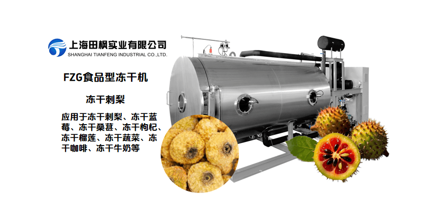 冷凍干燥機，保留刺梨豐富維C