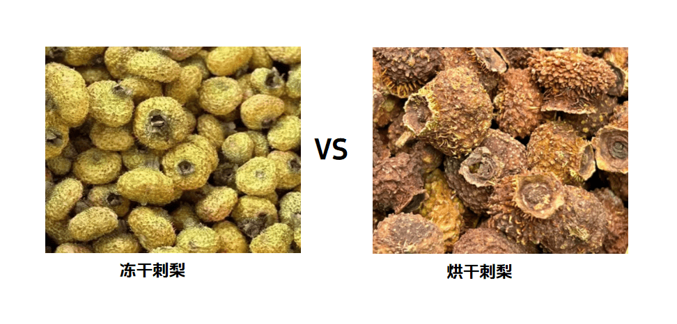 凍干刺梨粉、凍干整顆刺梨生產(chǎn)工藝流程