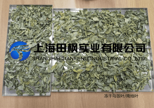 凍干機讓傳統(tǒng)烏米飯便捷又營養(yǎng)
