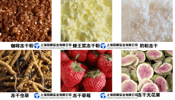 FZG系列食品凍干機